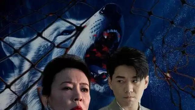 《撕下伪装的盛宴》高能反转不断，全程心跳加速超上头（53集）