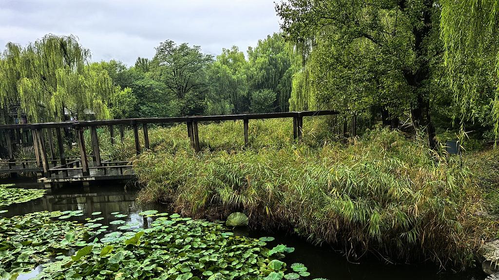 蝴蝶大乐透25122期分析，上期热码回马枪开出3个号码，有点意外了