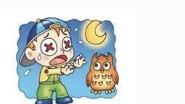 《你也可以优雅健康地生活》第二章，治疗夜盲症的食疗方子