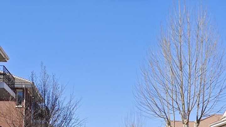 廊坊三河市一栋独栋别墅拍卖，被人555.86万就竞得