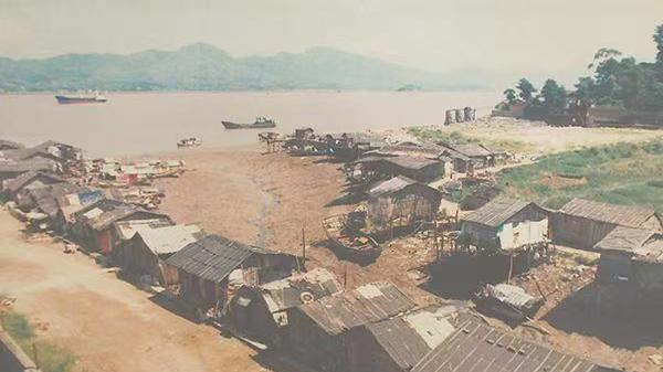 书评｜《杀夫》：始于人性之恶的悲情故事