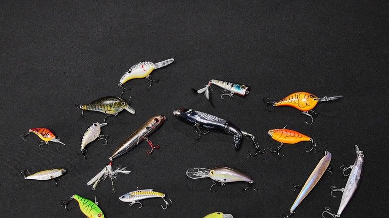 路亚新手必看！硬饵收纳秘籍，让你的装备井井有条！