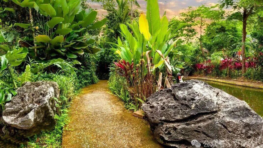 我们逛的真是同一个野熊谷？这些隐藏宝藏我猜你全错过了