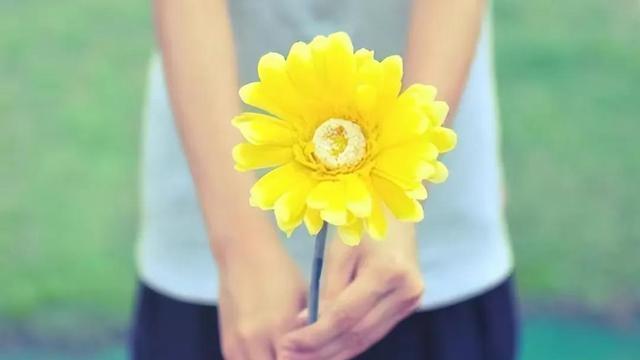 大爷的不满：再婚老伴儿得知我把房已过户给儿子，一声不吭地走了