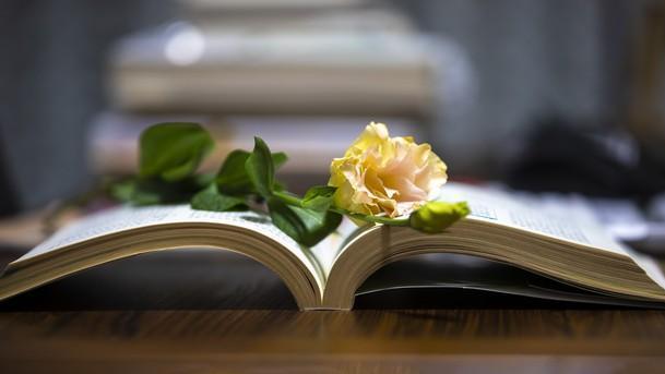 深情难忘，挚爱永恒，一生一世只为你