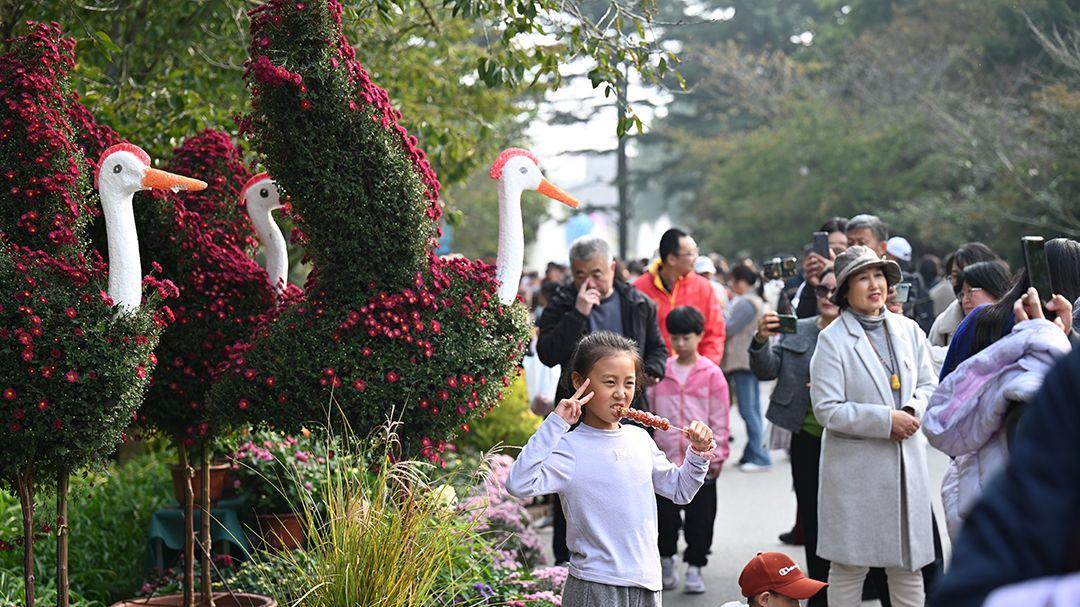 仪式感拉满 中山公园第41届菊展邀你共赴秋日之约
