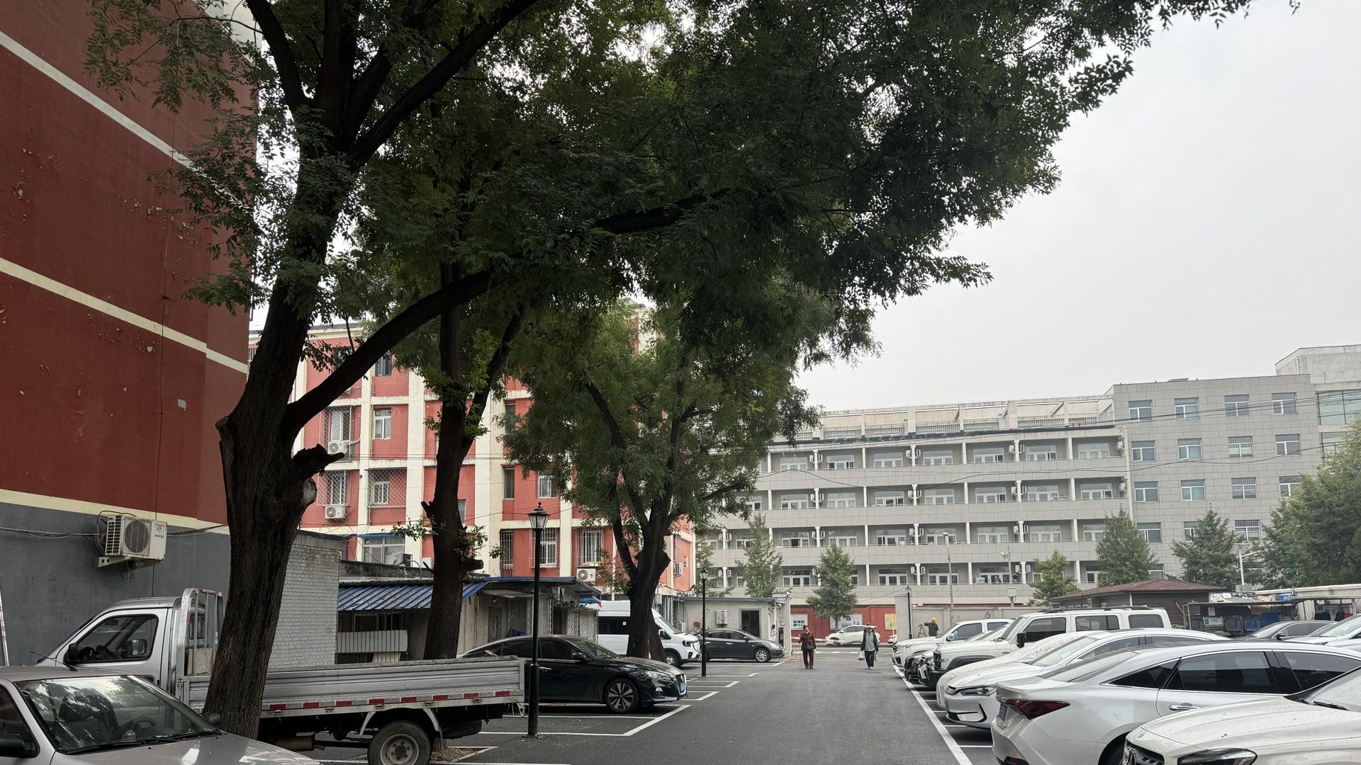 苹果园街道下庄社区：引进物业管理让停车有位环境更美