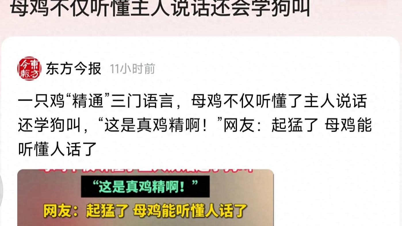 母鸡不仅听懂主人说话还会学狗叫，网友：这鸡吃起来肯定补脑！