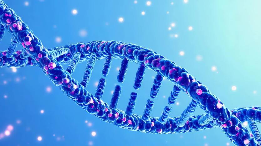 生命体之间有“信息场”？一种超越物质的沟通方式