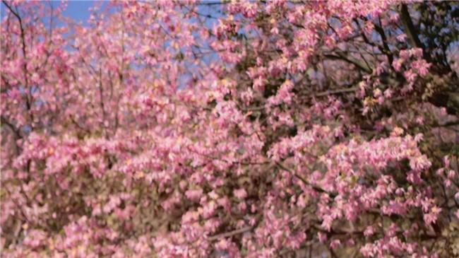 日常购物超方便！昊铂 GT Lite 版证明轿跑也能很实用