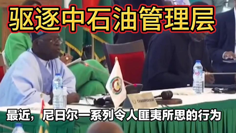 中石油就是这么被掠夺的！尼日尔掠夺恶劣程度堪称对外投资史之最