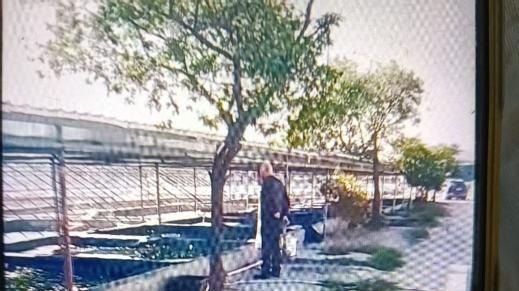 四川甲鱼养殖遇陷阱，4.75 万 20 天打水漂