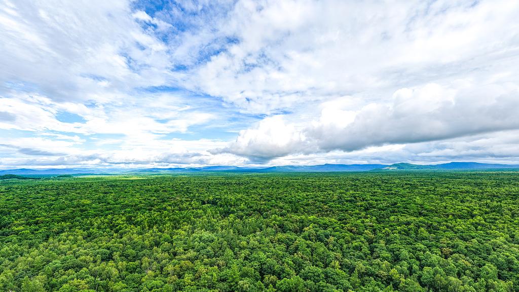 2025年最后一个月，脸能藏事，肩能扛事，心能忘事