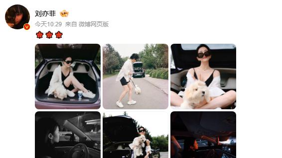 刘亦菲国庆自驾晒 plog：白衬衫配黑吊带尽显松弛感，网友喊 “想坐副驾”