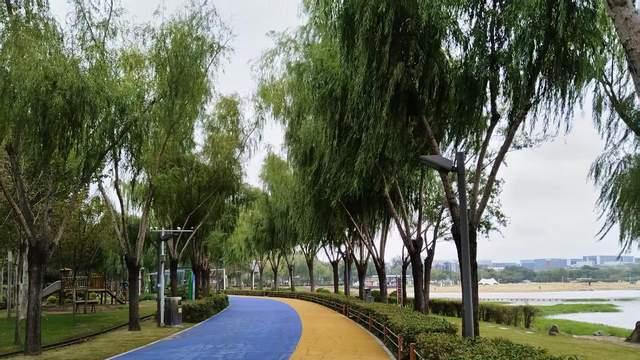 别让你的瞎操心和焦虑，夺走厌学孩子复原成长机会，少担心多正念