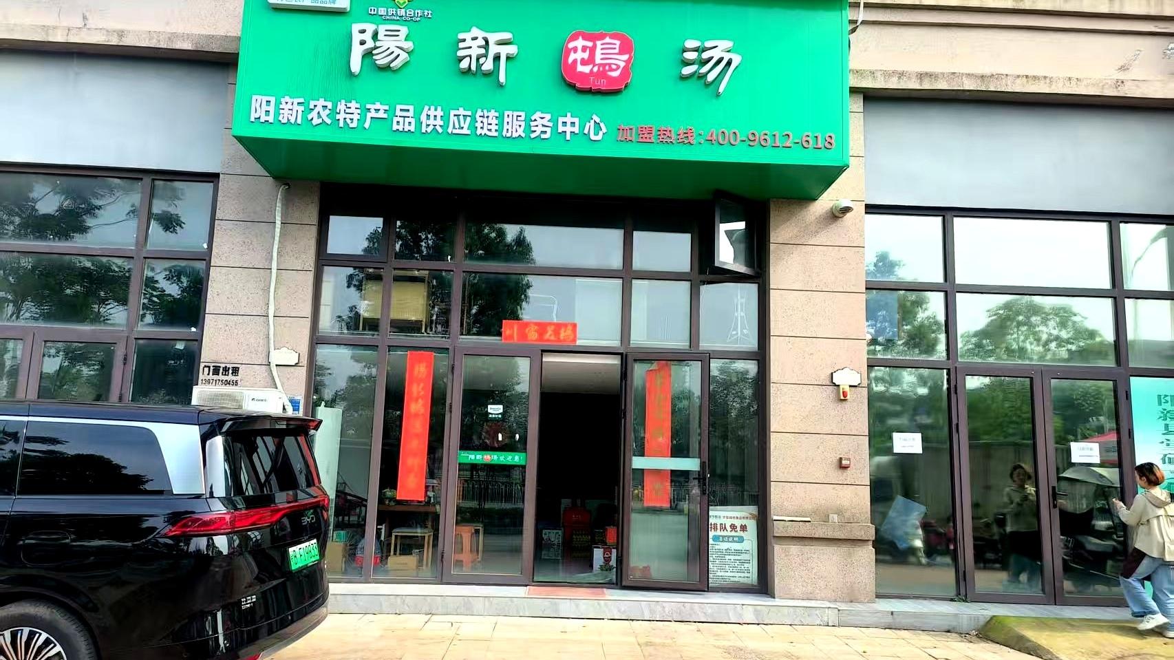 阳新：一碗屯鸟汤煮出致富路