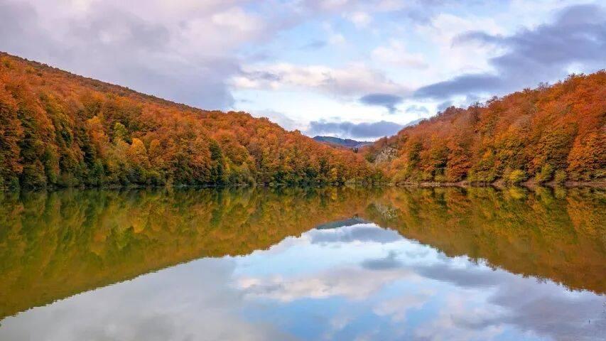 不是拯救实体店！电商税落地主要整治家电低价内卷