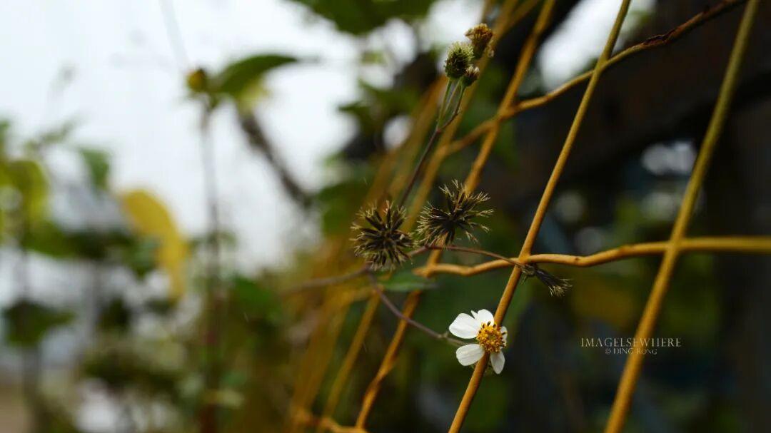丁融摄影 | 人生是一场孤独的朝圣，最终的归宿是成为自己