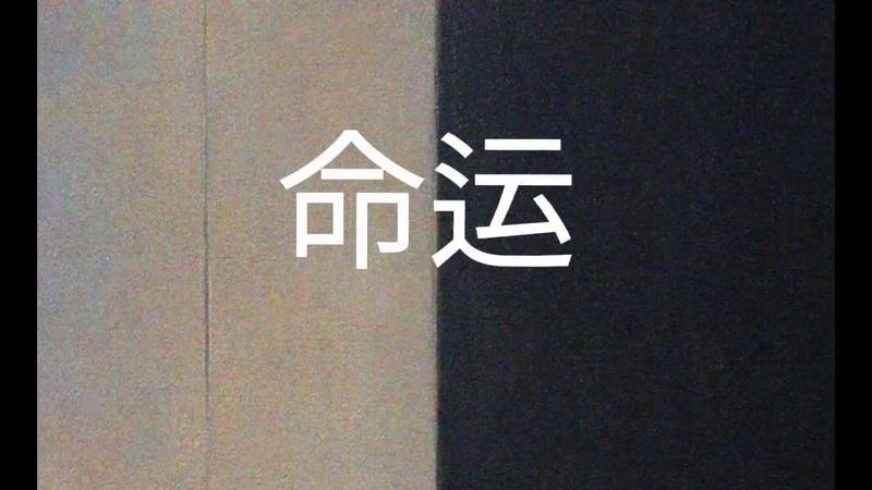 命不逢时再努力徒劳