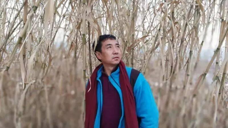 李晓恒丨让诗情在庸常的日子如花绽放 ——读李筱诗集《行者的夜歌》