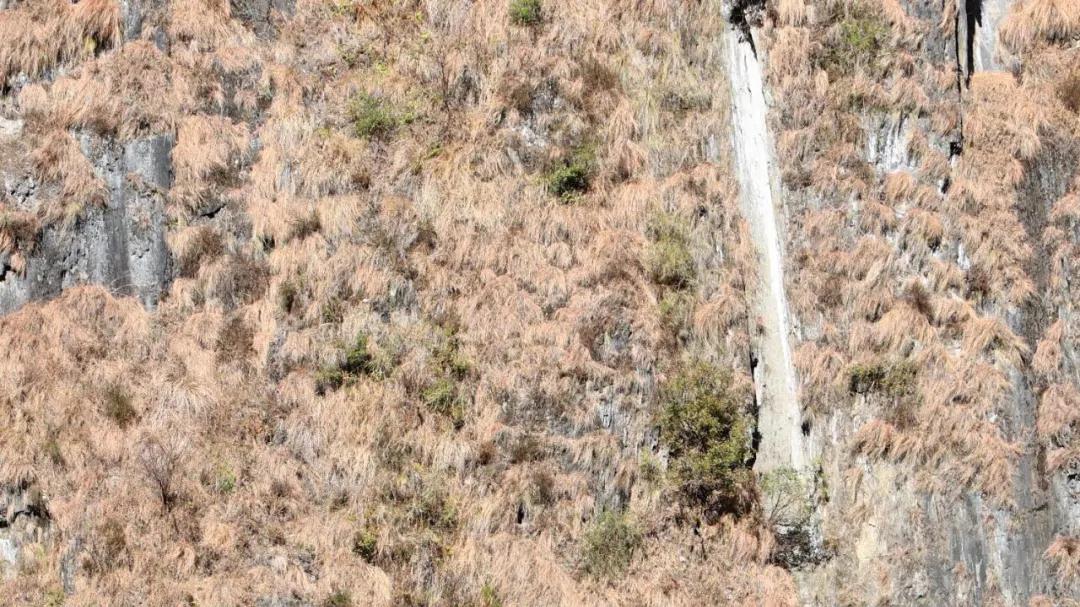 云崖血脉：怒江人马驿道的千年生死契