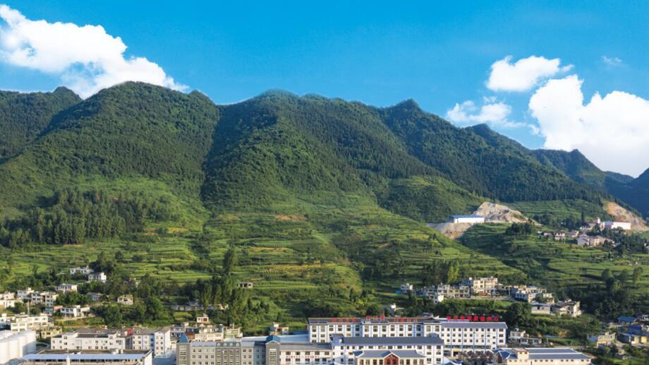 数智化酱酒密码：怀庄以现代科技重构传统酿酒工艺
