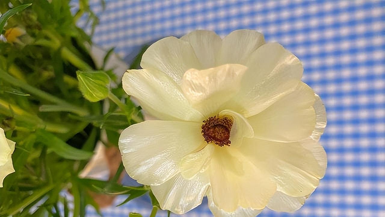 卧槽！男人动心就这3招，中了就跑不掉了！