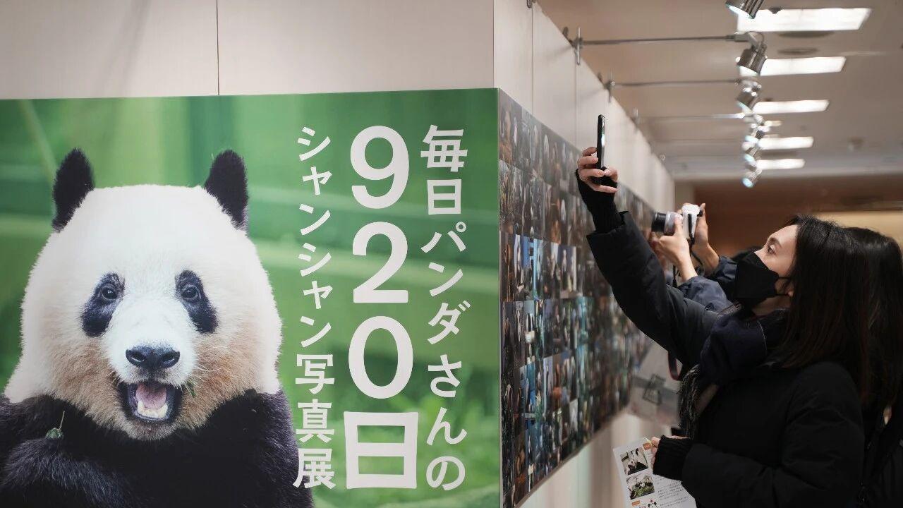 小伙钓到白色鲟鱼吓得立马致电公安，旅日大熊猫即将归国！