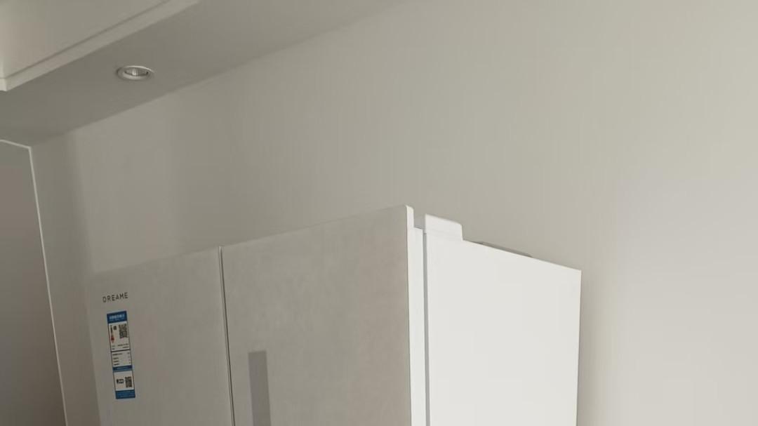 双十一必入！这台冰箱让我告别串味烦恼🧊✨