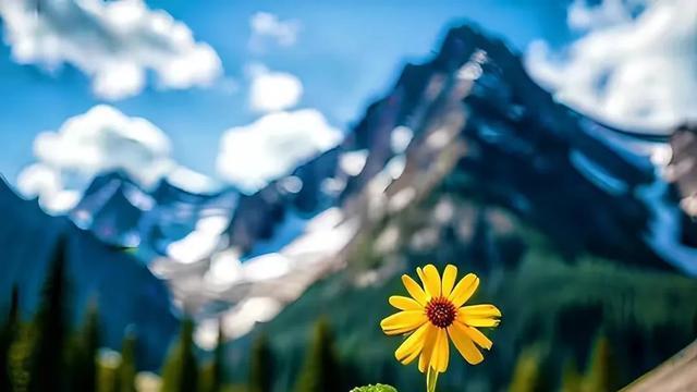 以前不懂父母，现在理解父母，就怕以后不如父母！