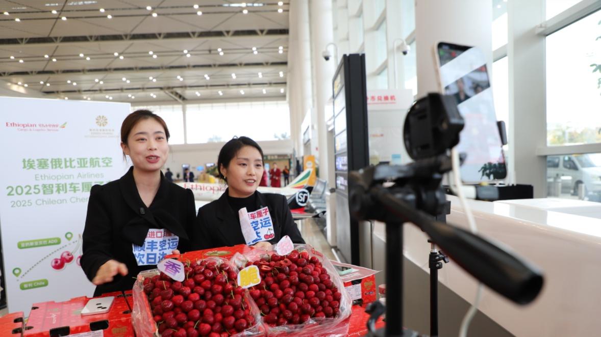 花湖机场开通智利车厘子专线，从机场到市场最快仅需2小时