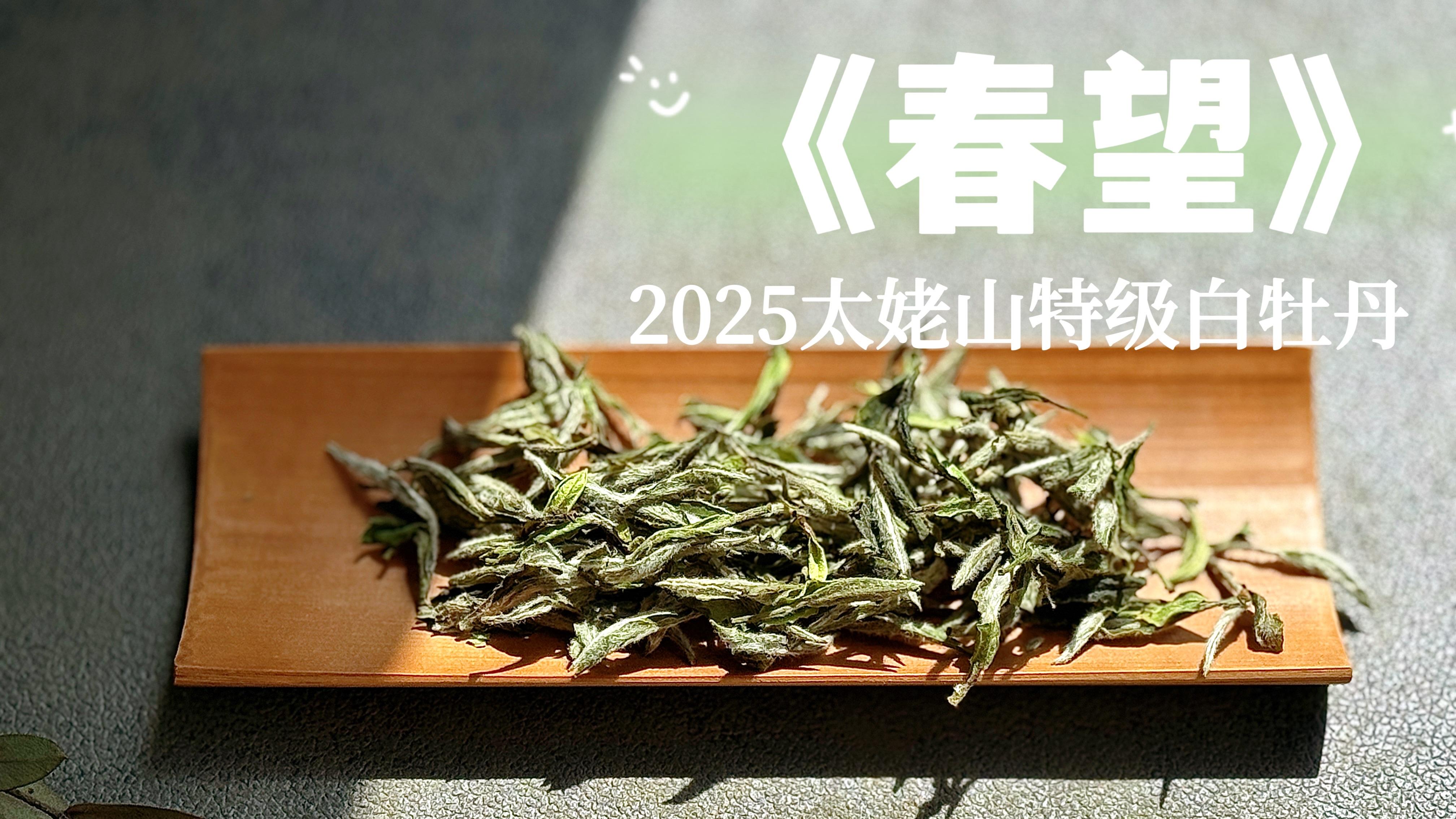 一个人喝茶的冲泡方式，这样冲泡白毫银针、牡丹王，泡出的茶很香