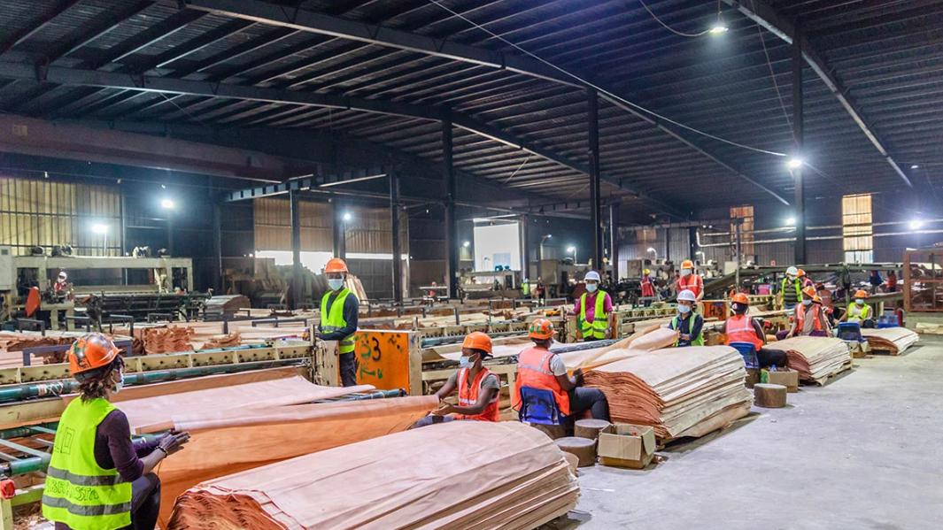 新法未签，涨价已到！木材进口量跌10.2%，价格已飙17.2%！