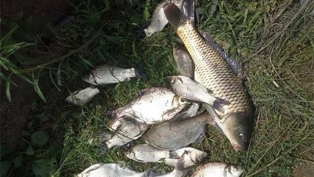 野钓，4个容易忽视的细节，影响了鱼获的多少