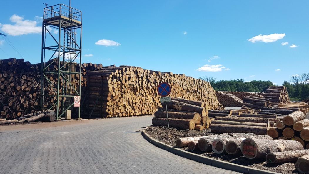 加速撤离中国市场？这国对华木材出口“腰斩”56.3%，市场格局即将重塑？