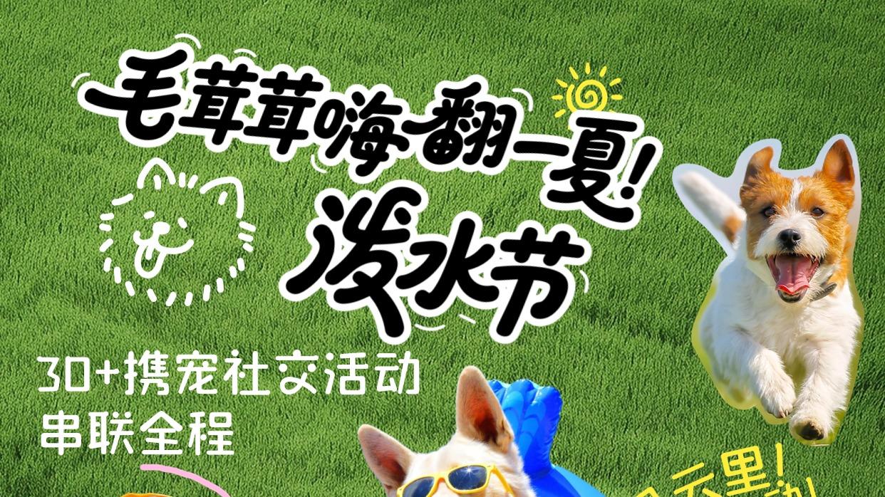 8月21日-24日，这个夏天携宠泼水节来喽，南京的铲屎官和毛孩子们有福啦！