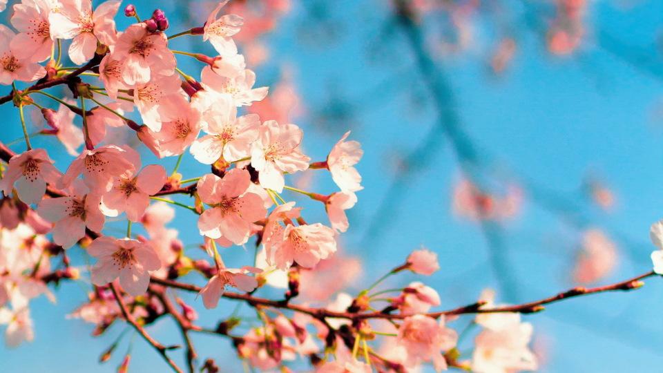 二婚夫妻，如果没有共同的孩子，晚年养老怎么办？