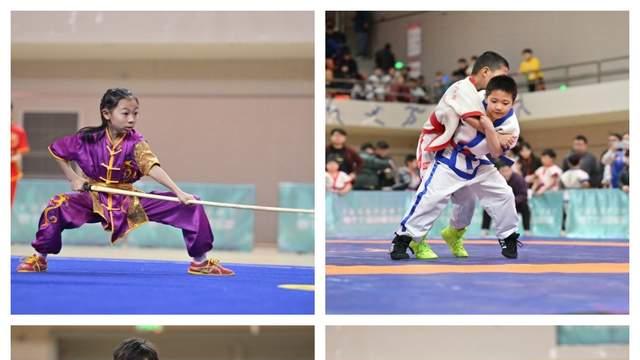 健体扬魂谱新篇——2025年第九届北京市延庆区武术大会盛大开幕