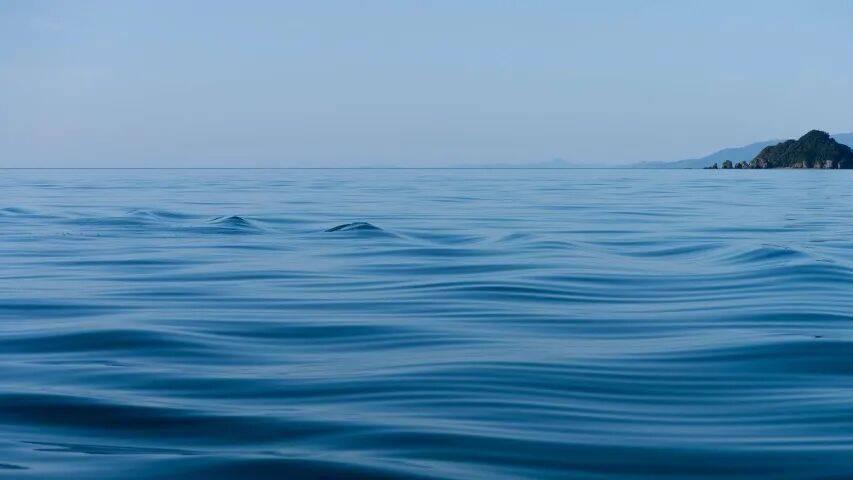 今年双11空调三巨头开打新战役