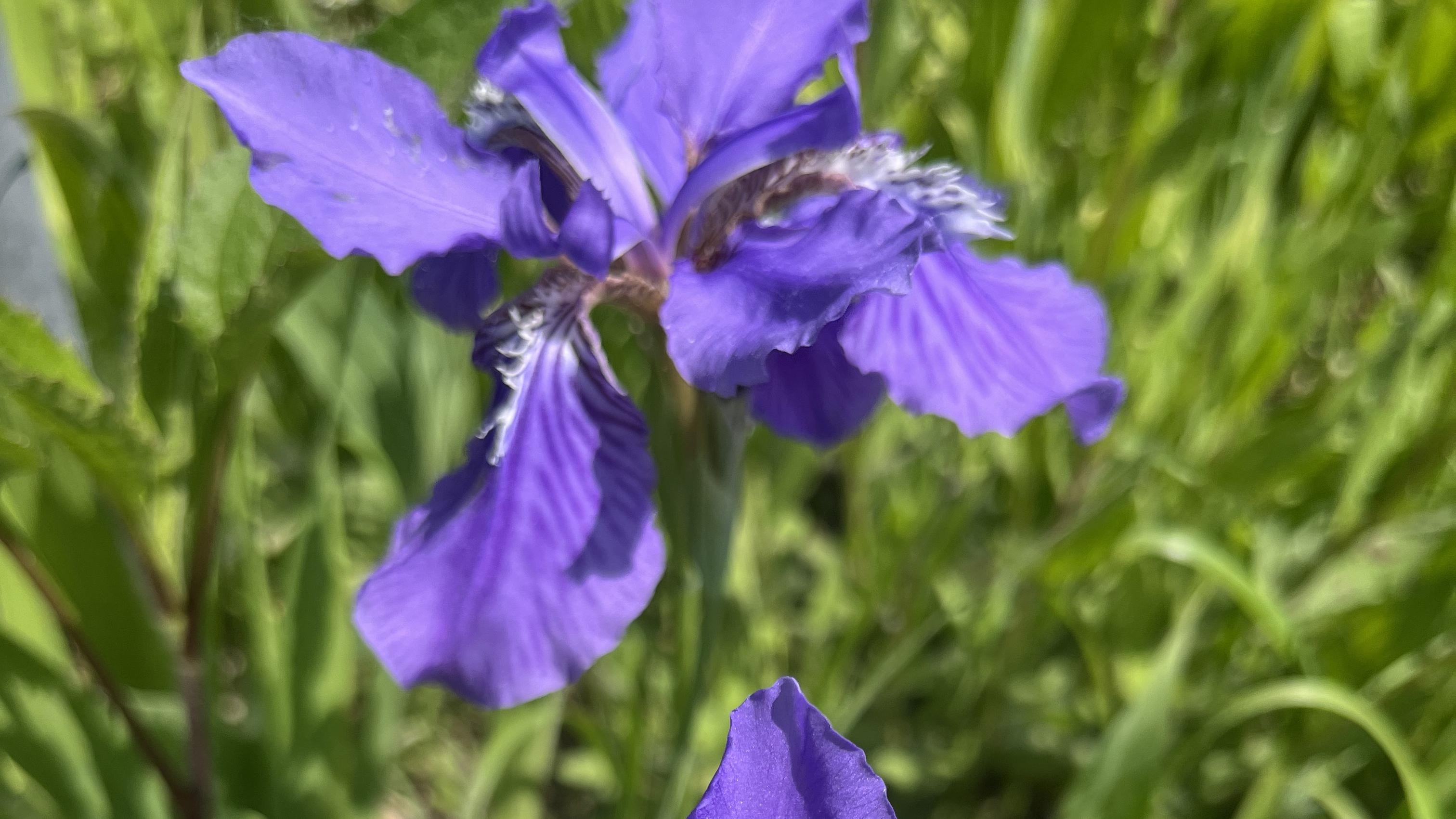 2025乙巳蛇年每日通盛及各生肖运势10月31日