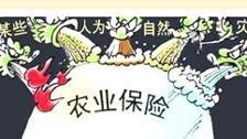 农业保险逆袭！1500亿保费守护5万亿“菜篮子”