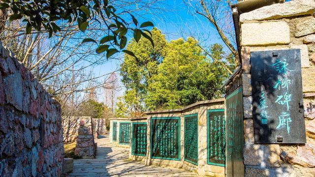 江苏泰州有一座柳园，设计精美，意韵流芳，深受市民和游客喜爱