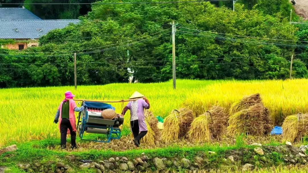 UL507: 2024 标准下电风扇电气性能测试方法解析