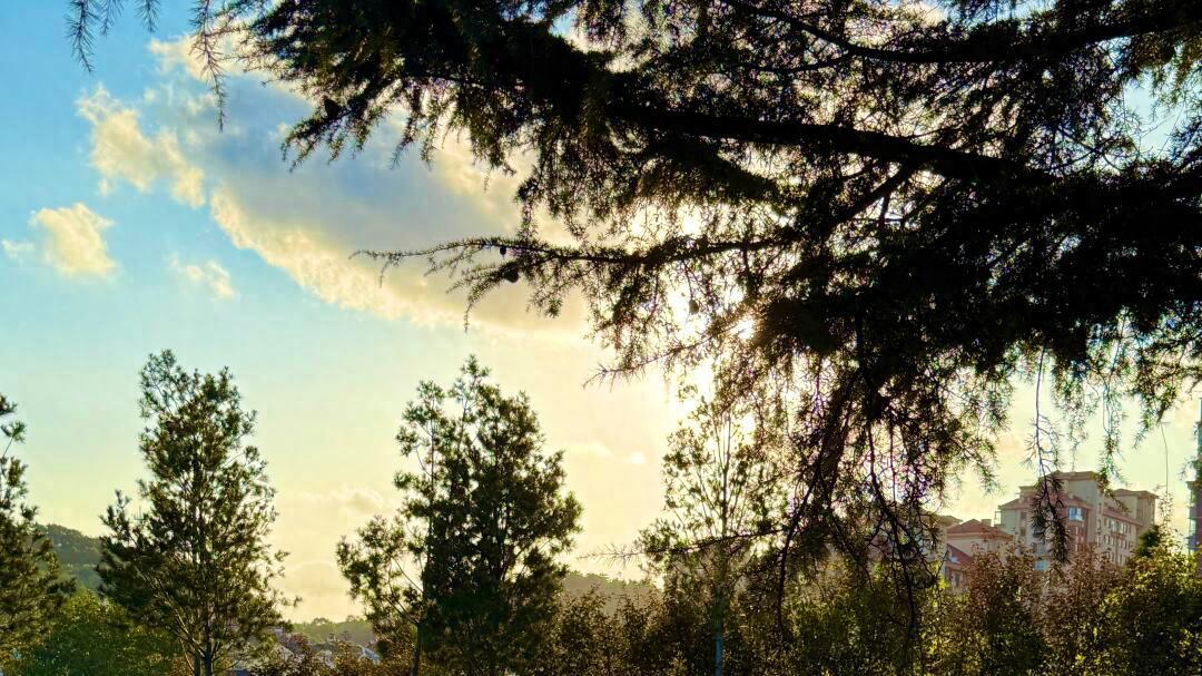 深秋旅游旺季，华为这羊毛薅得我心满意足