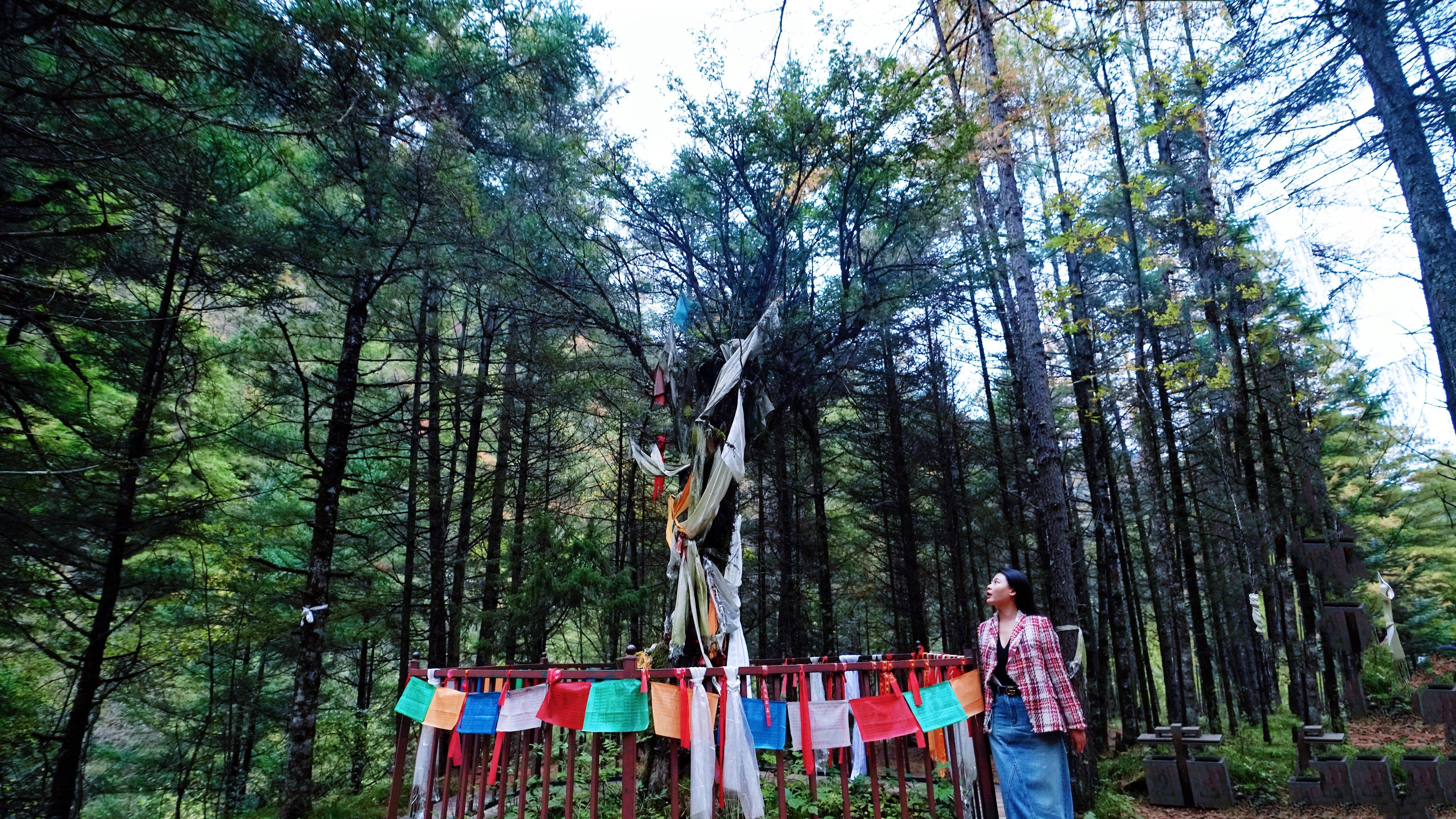 “陇原赏秋韵·相约官鹅沟”推介大会启动 点燃甘肃秋冬旅游热情