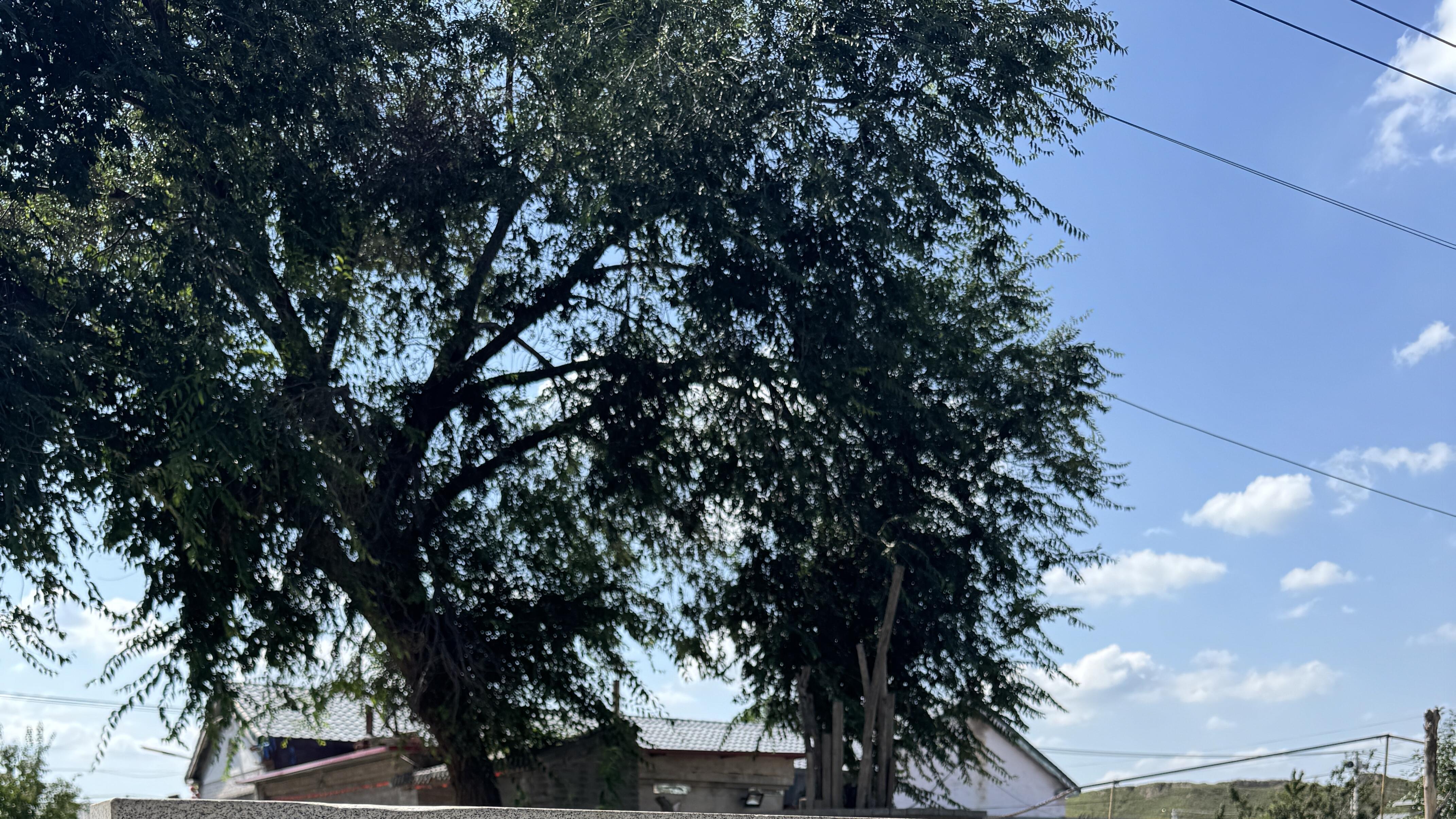 大明塔偏离中轴线？辽中京三大塔留疑，夯土城墙藏宋商迹