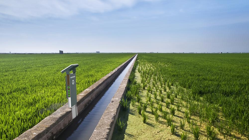 作物生长监测如何助力智慧农业实现精准种植？