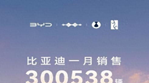 中国销冠，比亚迪1月销量超30 万台，出口量飙升83.4%