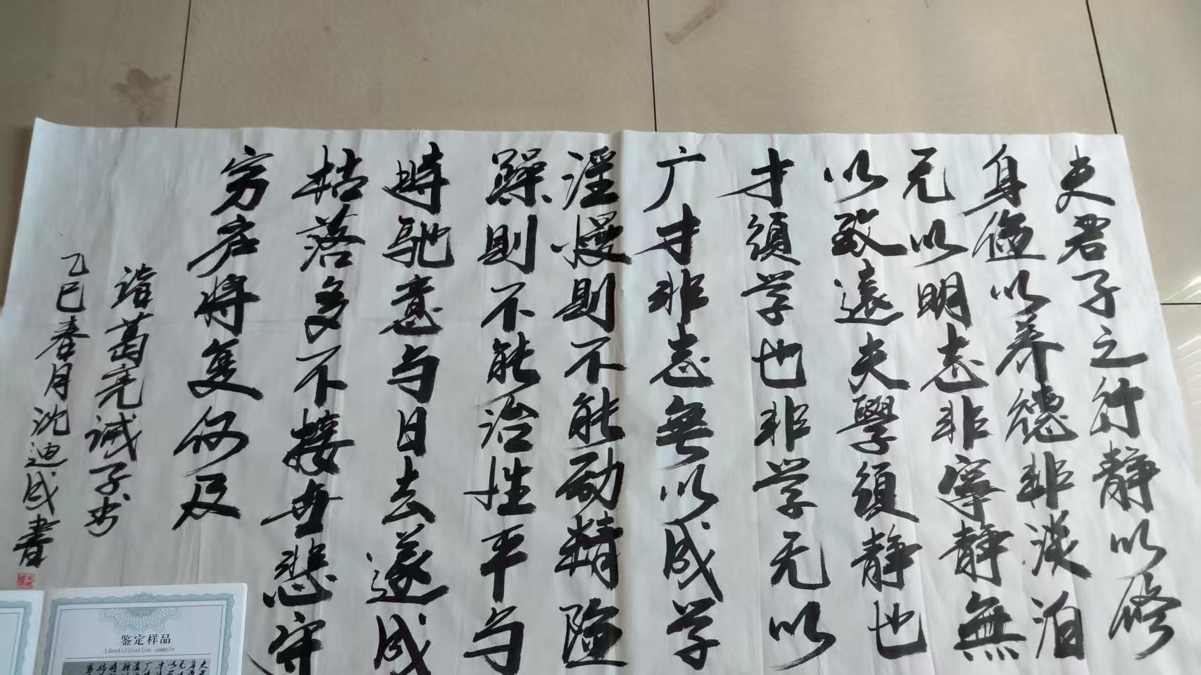 沈迪成：深耕书法数十载，用笔墨书写当代书坛新声