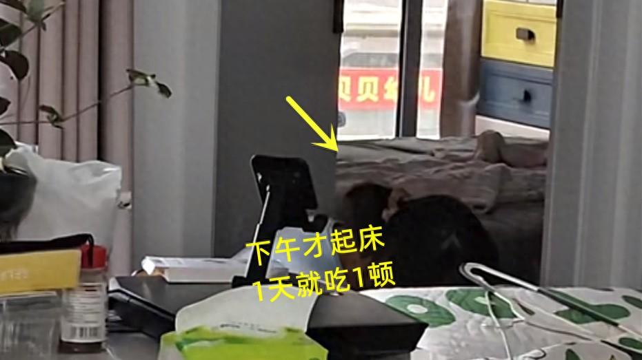 贵州男子吐槽生活艰难：1月就赚5000，妻子2年没上班，还要交房租